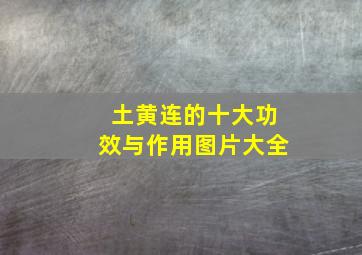 土黄连的十大功效与作用图片大全