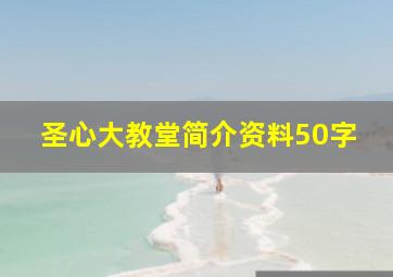 圣心大教堂简介资料50字