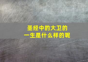 圣经中的大卫的一生是什么样的呢