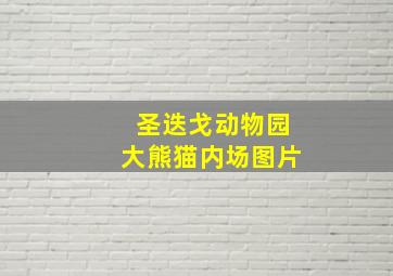 圣迭戈动物园大熊猫内场图片