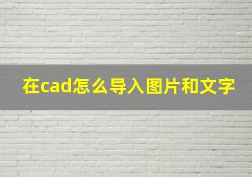 在cad怎么导入图片和文字