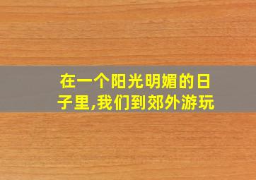 在一个阳光明媚的日子里,我们到郊外游玩