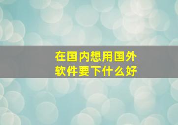 在国内想用国外软件要下什么好