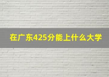 在广东425分能上什么大学