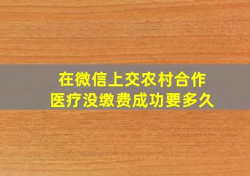 在微信上交农村合作医疗没缴费成功要多久