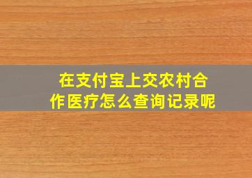 在支付宝上交农村合作医疗怎么查询记录呢