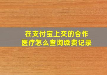 在支付宝上交的合作医疗怎么查询缴费记录