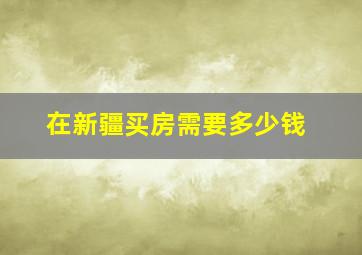 在新疆买房需要多少钱