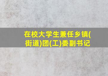 在校大学生兼任乡镇(街道)团(工)委副书记