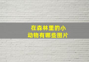 在森林里的小动物有哪些图片