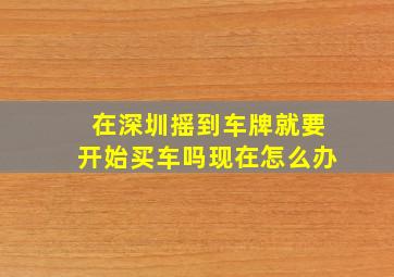 在深圳摇到车牌就要开始买车吗现在怎么办