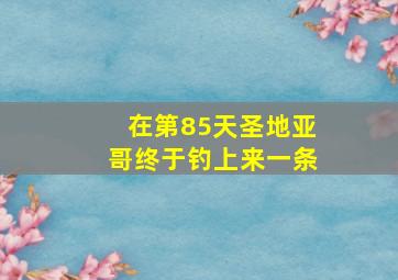 在第85天圣地亚哥终于钓上来一条