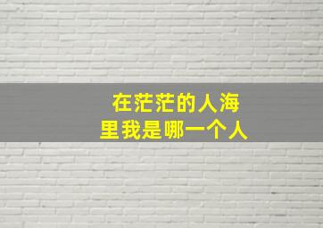 在茫茫的人海里我是哪一个人