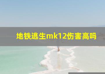 地铁逃生mk12伤害高吗