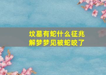 坟墓有蛇什么征兆解梦梦见被蛇咬了