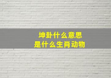 坤卦什么意思是什么生肖动物