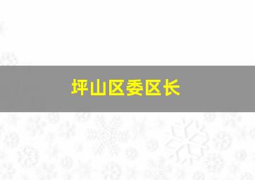 坪山区委区长