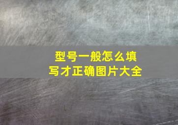 型号一般怎么填写才正确图片大全