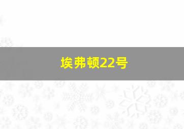 埃弗顿22号