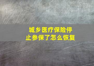 城乡医疗保险停止参保了怎么恢复