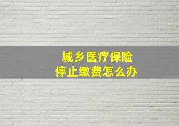 城乡医疗保险停止缴费怎么办