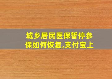 城乡居民医保暂停参保如何恢复,支付宝上