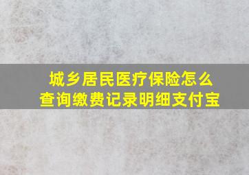 城乡居民医疗保险怎么查询缴费记录明细支付宝