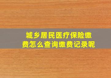 城乡居民医疗保险缴费怎么查询缴费记录呢