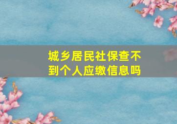 城乡居民社保查不到个人应缴信息吗