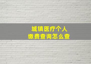 城镇医疗个人缴费查询怎么查