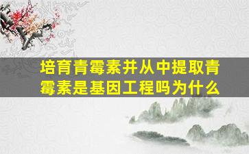 培育青霉素并从中提取青霉素是基因工程吗为什么