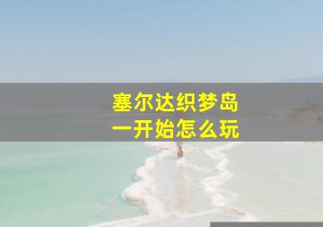 塞尔达织梦岛一开始怎么玩