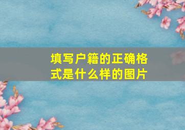 填写户籍的正确格式是什么样的图片