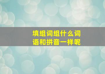 填组词组什么词语和拼音一样呢