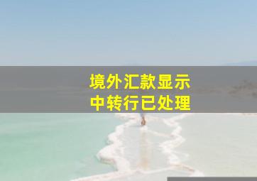 境外汇款显示中转行已处理