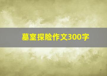 墓室探险作文300字