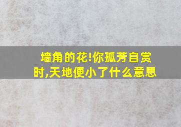 墙角的花!你孤芳自赏时,天地便小了什么意思