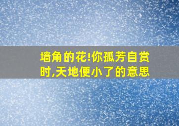 墙角的花!你孤芳自赏时,天地便小了的意思