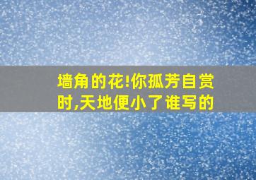 墙角的花!你孤芳自赏时,天地便小了谁写的