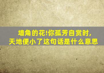 墙角的花!你孤芳自赏时,天地便小了这句话是什么意思