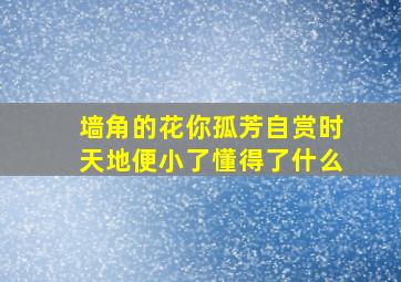 墙角的花你孤芳自赏时天地便小了懂得了什么