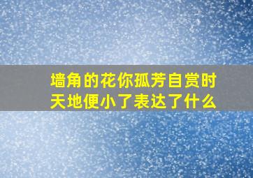 墙角的花你孤芳自赏时天地便小了表达了什么