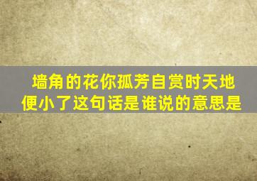 墙角的花你孤芳自赏时天地便小了这句话是谁说的意思是