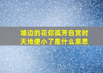 墙边的花你孤芳自赏时天地便小了是什么意思