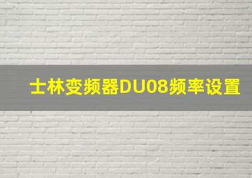 士林变频器DU08频率设置