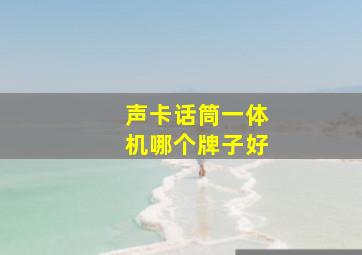 声卡话筒一体机哪个牌子好