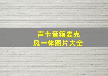 声卡音箱麦克风一体图片大全