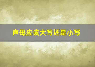 声母应该大写还是小写