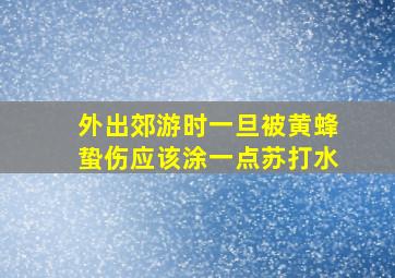 外出郊游时一旦被黄蜂蛰伤应该涂一点苏打水