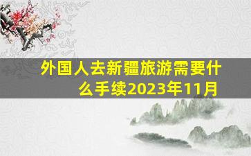 外国人去新疆旅游需要什么手续2023年11月